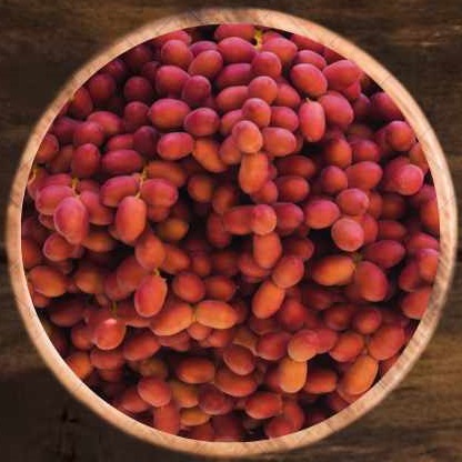 Khasab dates - origin - texture - taste - price - culinary benefits - nutritional benefits